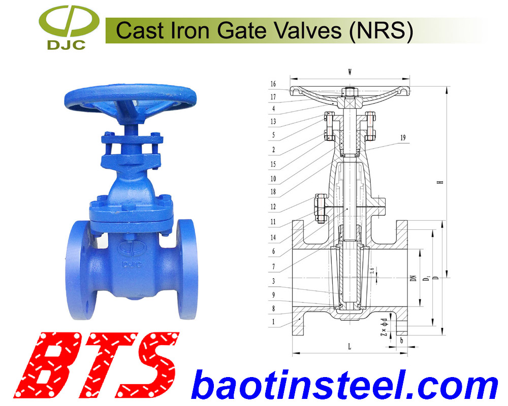 Van cửa ty chìm, cast iron gate valves Daejin (Korea)